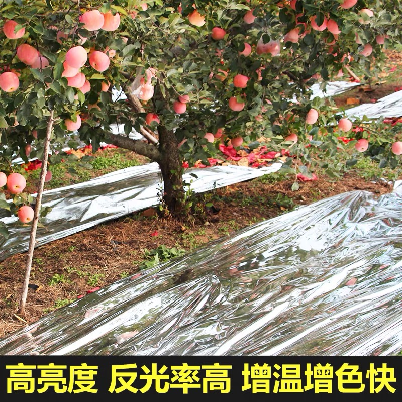 北京防草布果树反光膜 - 价格